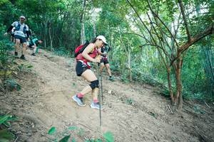 BIB: 
                            <button type="button" onclick="openModal(28160450)" class="btn btn-primary btn-sm float-right btn-popup" data-toggle="modal" data-target=".modal-high-quality">
                        <i class="fas fa-shopping-cart"></i> Add to Cart
                    </button>
                                            <button type="button" onclick="isThisMe(28160450, true)" class="btn btn-success btn-sm float-right btn-popup btn-isme hidden" data-toggle="tooltip" data-placement="bottom" title="นี่คือรูปของคุณใช่ไหม คลิกที่นี่เพื่อเอาเข้าอัลบั้ม">
                        <i class="fas fa-plus"></i> Add to album
                    </button>
                    <button type="button" onclick="isThisMe(28160450, false)" class="btn btn-warning btn-sm float-right btn-popup btn-isnotme hidden">
                        <i class="fas fa-ban"></i> Remove from album
                    </button>